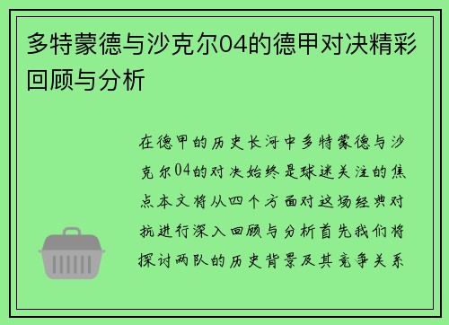 多特蒙德与沙克尔04的德甲对决精彩回顾与分析